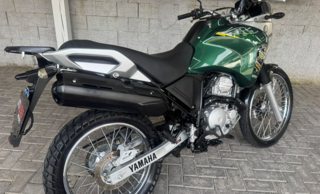 YAMAHA XTZ 250 TENERE/TENERE BLUEFLEX 2019 Flex-3