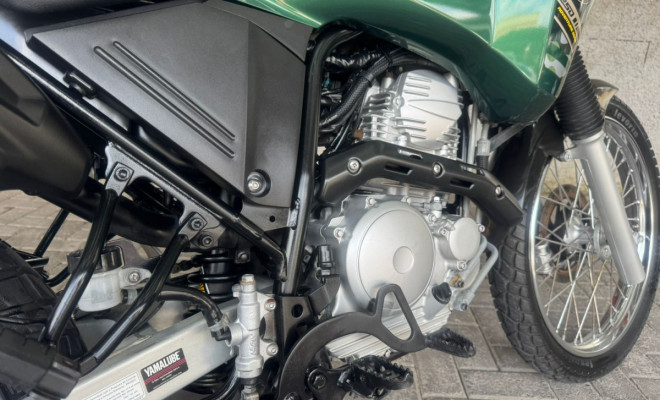 YAMAHA XTZ 250 TENERE/TENERE BLUEFLEX 2019 Flex-4