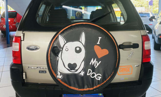 Ford EcoSport XLS 1.6/ 1.6 Flex 8V 5p 2007 Flex-3