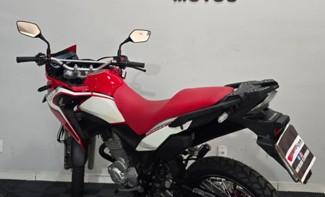 HONDA XRE 300 RALLY FLEX 2021 Flex-3