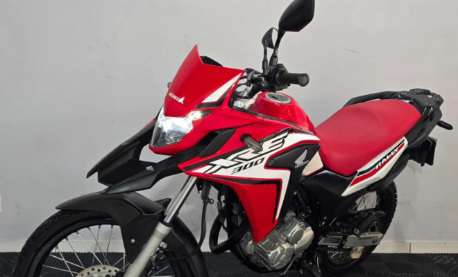 HONDA XRE 300 RALLY FLEX 2021 Flex-5
