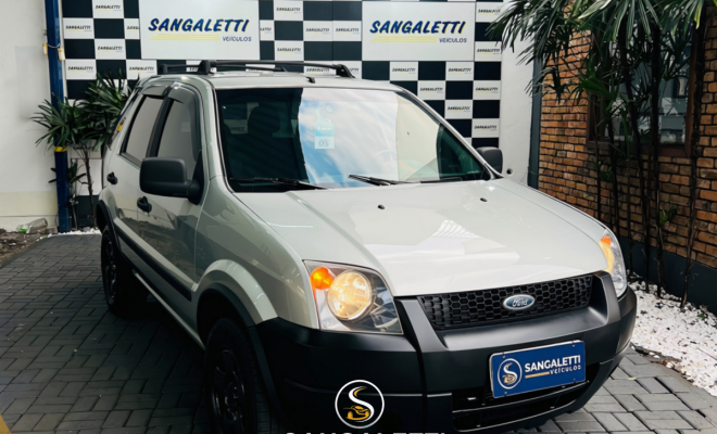 Ford EcoSport XLS 1.6/ 1.6 Flex 8V 5p 2005 Gasolina-0
