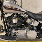 HARLEY-DAVIDSON FAT BOY FLSTF 2009 Gasolina-2