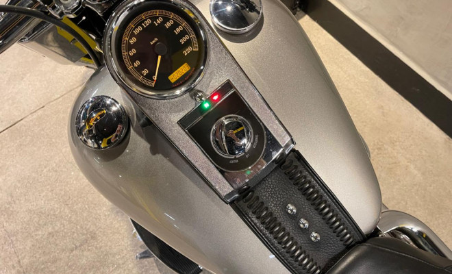 HARLEY-DAVIDSON FAT BOY FLSTF 2009 Gasolina-10