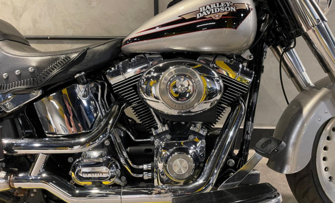 HARLEY-DAVIDSON FAT BOY FLSTF 2009 Gasolina-1