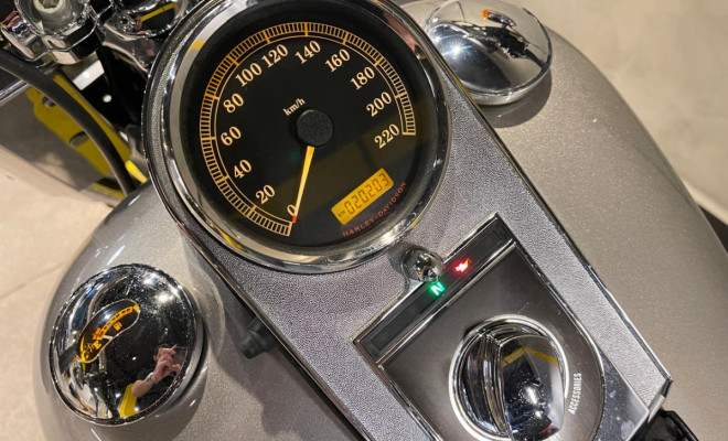 HARLEY-DAVIDSON FAT BOY FLSTF 2009 Gasolina-9