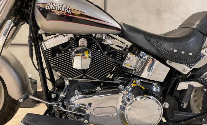 HARLEY-DAVIDSON FAT BOY FLSTF 2009 Gasolina-2