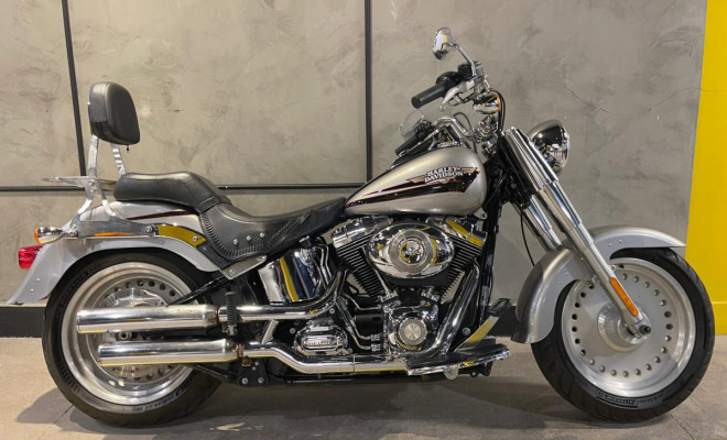 HARLEY-DAVIDSON FAT BOY FLSTF 2009 Gasolina