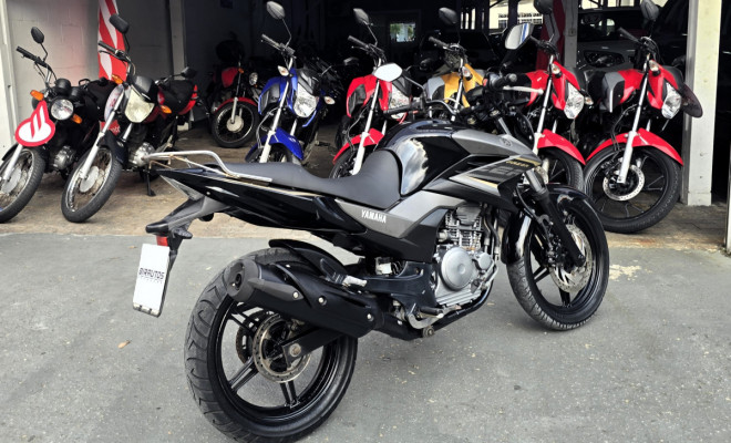 YAMAHA YS 250 FAZER/ FAZER L. EDITION /BLUEFLEX 2017 Flex-3