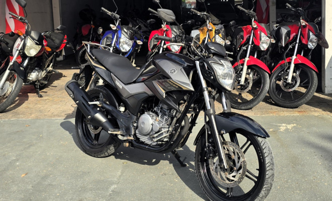 YAMAHA YS 250 FAZER/ FAZER L. EDITION /BLUEFLEX 2017 Flex-0