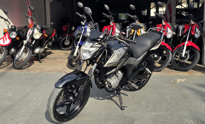 YAMAHA YS 250 FAZER/ FAZER L. EDITION /BLUEFLEX 2017 Flex-1