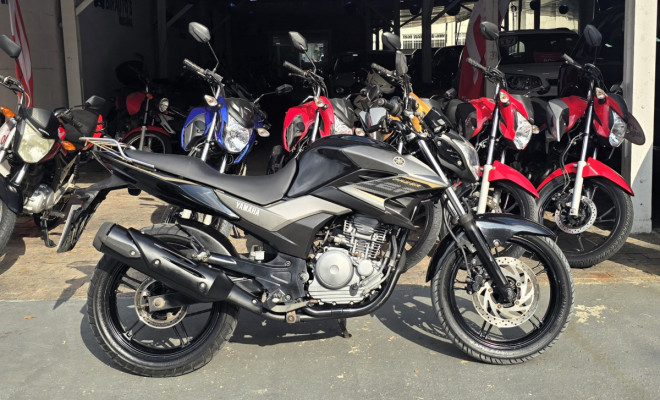 YAMAHA YS 250 FAZER/ FAZER L. EDITION /BLUEFLEX 2017 Flex