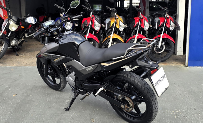 YAMAHA YS 250 FAZER/ FAZER L. EDITION /BLUEFLEX 2017 Flex-2
