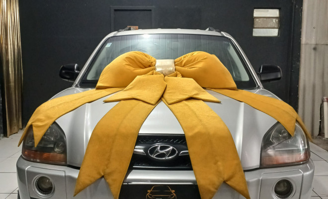 Hyundai Tucson 2.0 16V Mec. 2010 Flex-3