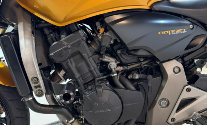 HONDA CB 600F HORNET 2009 Gasolina-7