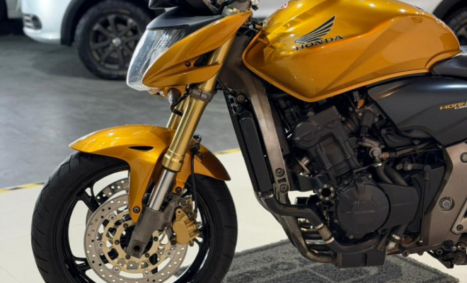 HONDA CB 600F HORNET 2009 Gasolina-11