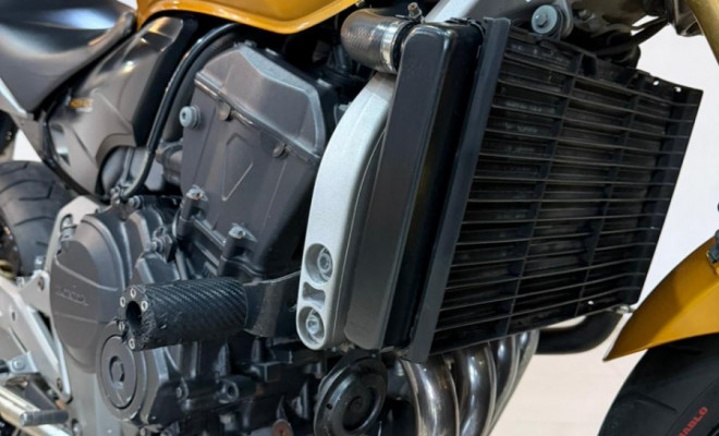 HONDA CB 600F HORNET 2009 Gasolina-1