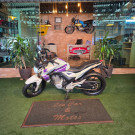 HONDA CB 250 TWISTER/FLEXONE 2016 Flex-2