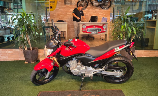 HONDA CB 300R/ 300R FLEX 2011 Flex-7