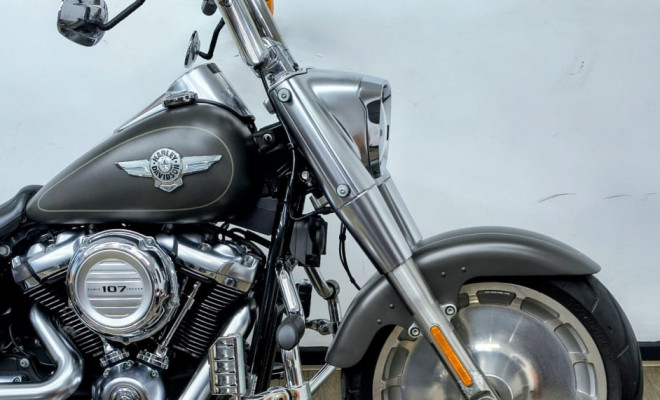 HARLEY-DAVIDSON FAT BOY FLFB 2019 Gasolina-6
