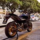 HONDA CB 600F HORNET ano 2009-1