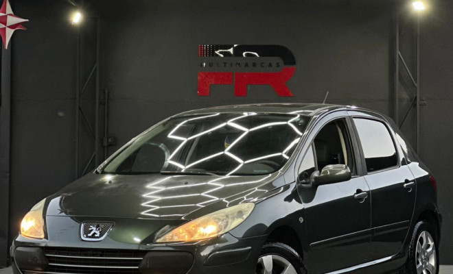 Peugeot 307 Soleil/ Presence 1.6/1.6 Flex 16V 5p 2010 Flex-1