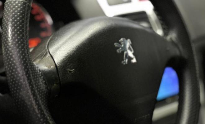 Peugeot 307 Soleil/ Presence 1.6/1.6 Flex 16V 5p 2010 Flex-8