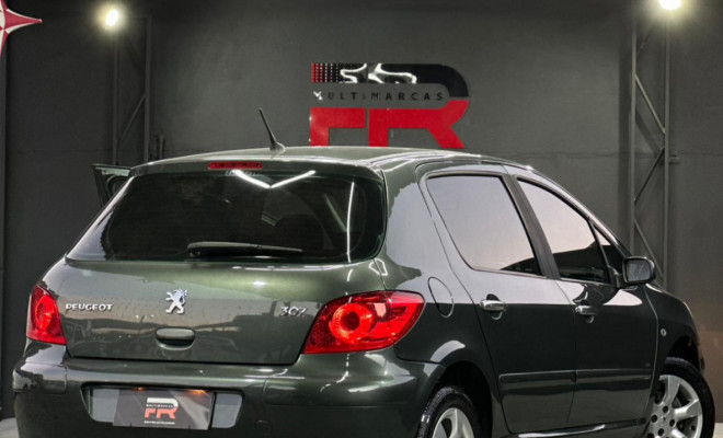 Peugeot 307 Soleil/ Presence 1.6/1.6 Flex 16V 5p 2010 Flex-2