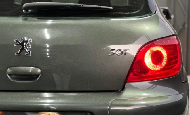 Peugeot 307 Soleil/ Presence 1.6/1.6 Flex 16V 5p 2010 Flex-6