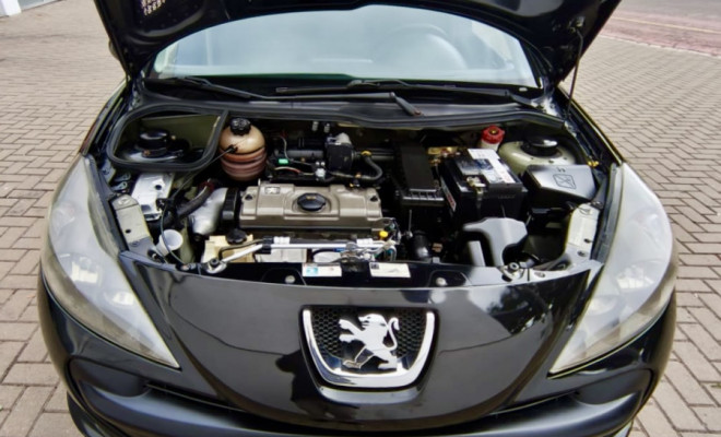 Peugeot 207 SW XR 1.4 Flex 8V 5p 2009 Flex-6