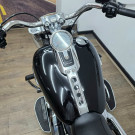 HARLEY-DAVIDSON FAT BOY FLFBS 2023 Gasolina-12