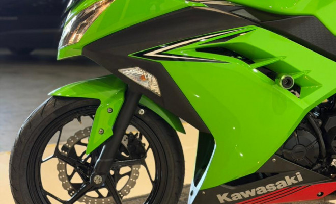 KAWASAKI NINJA 300 2018 Gasolina-10