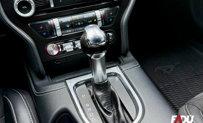 Ford Mustang Black Shadow 5.0 V8 2020 Gasolina-6