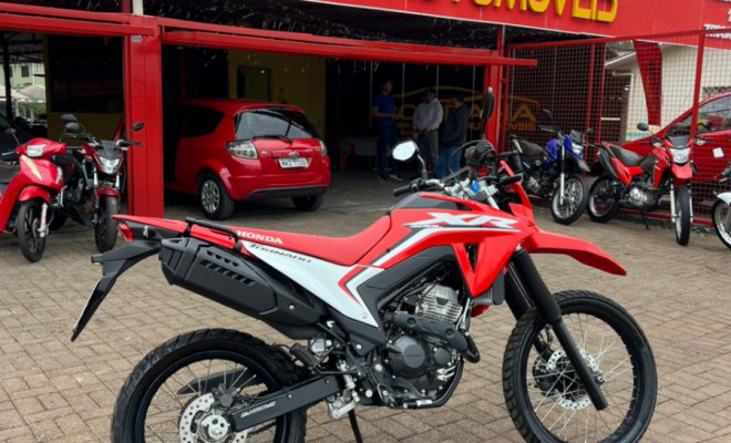 HONDA XR 300L TORNADO FLEX 2025 Flex-1