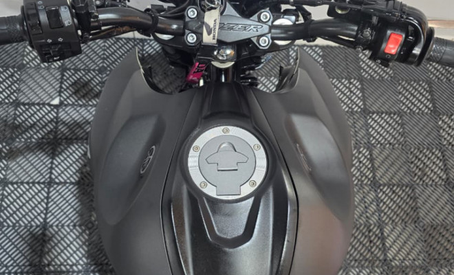 YAMAHA FZ25 250 FAZER FLEX 2023 Flex-2