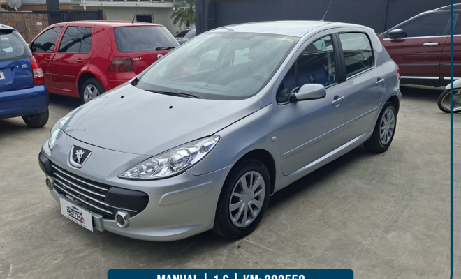 Peugeot 307 Soleil/ Presence 1.6/1.6 Flex 16V 5p 2011 Flex