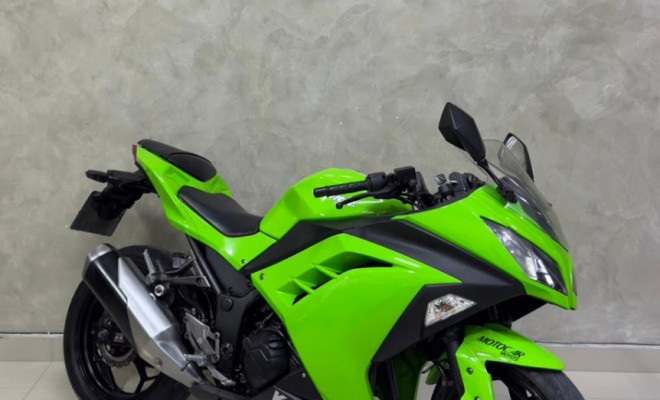 KAWASAKI NINJA 300 2015 Gasolina