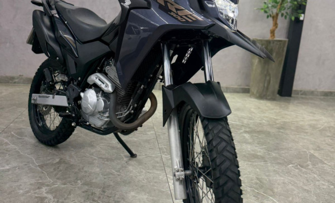 HONDA XRE 300 RALLY FLEX 2022 Flex-9