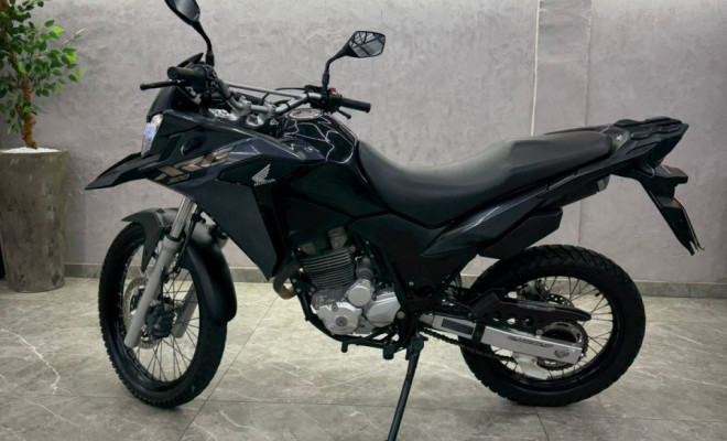 HONDA XRE 300 RALLY FLEX 2022 Flex-5