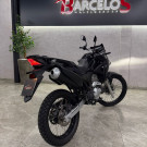 HONDA XRE 300 RALLY FLEX 2022 Flex-11