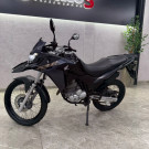 HONDA XRE 300 RALLY FLEX 2022 Flex-0