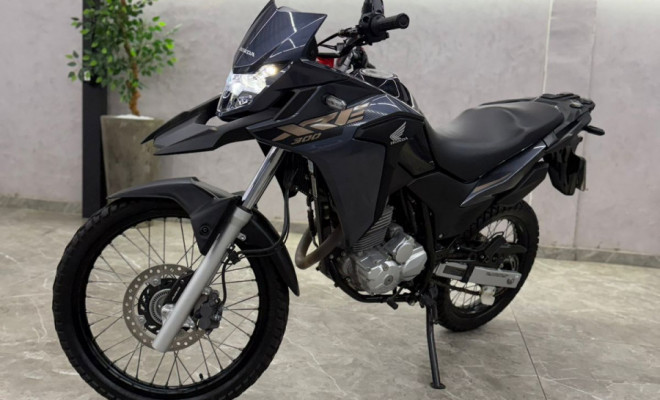 HONDA XRE 300 RALLY FLEX 2022 Flex