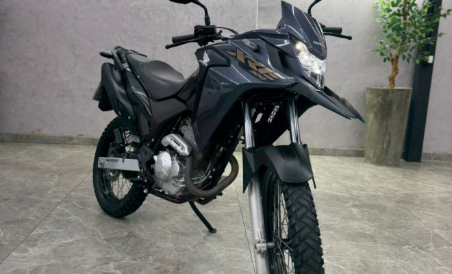 HONDA XRE 300 RALLY FLEX 2022 Flex-7