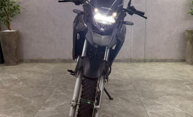 HONDA XRE 300 RALLY FLEX 2022 Flex-6