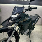 HONDA XRE 300 RALLY FLEX 2022 Flex-2