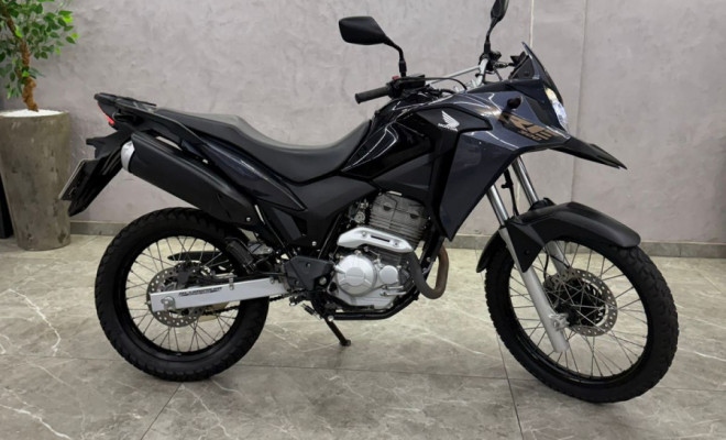 HONDA XRE 300 RALLY FLEX 2022 Flex-8