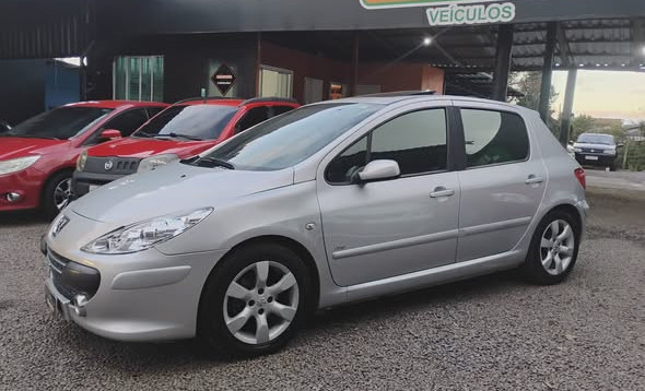Peugeot 307 Soleil/ Presence 1.6/1.6 Flex 16V 5p 2009 Flex