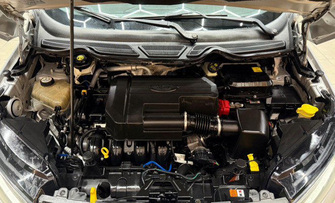 Ford EcoSport FREESTYLE 2.0 16V Flex 5p Aut. 2015-10