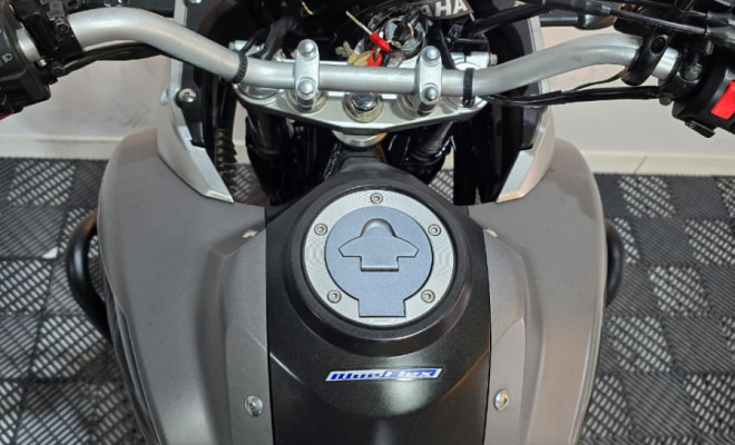 YAMAHA XTZ 250 TENERE/TENERE BLUEFLEX 2016 Flex-2
