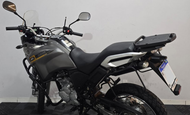 YAMAHA XTZ 250 TENERE/TENERE BLUEFLEX 2016 Flex-3